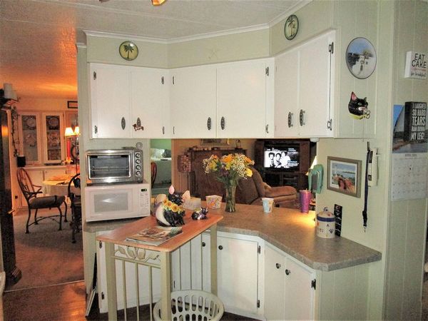137 Hibiscus Dr, Leesburg FL 34788
