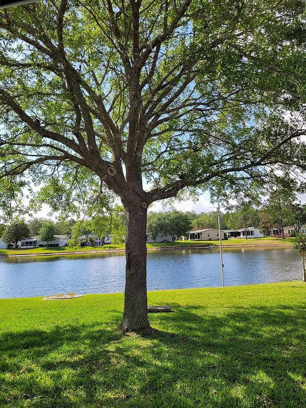 74 Cypress Grove Lane, Ormond Beach FL 32174