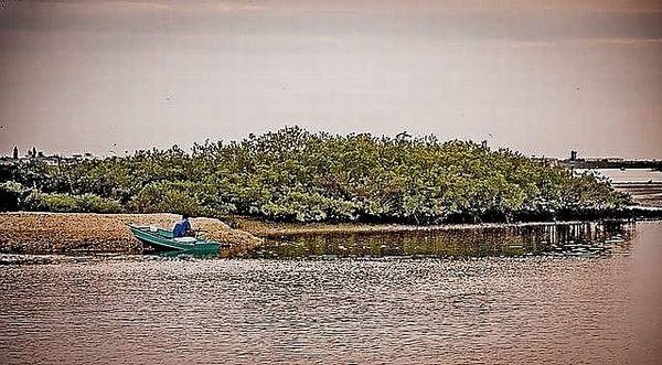 4 Circle Dr., Port Orange FL 32127
