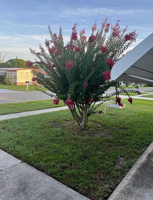 5431 James Dr. , Port Orange FL 32127