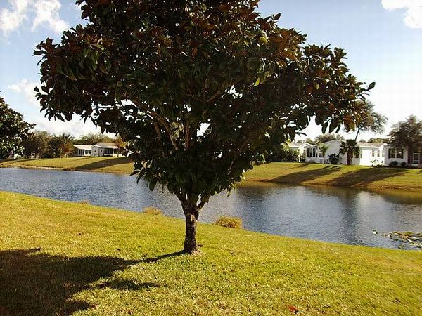 30 Grizzly Bear Path, Ormond Beach FL 32174