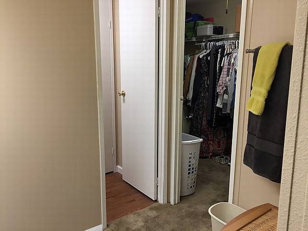 1304 Black Olive Dr., DeLand FL 32724