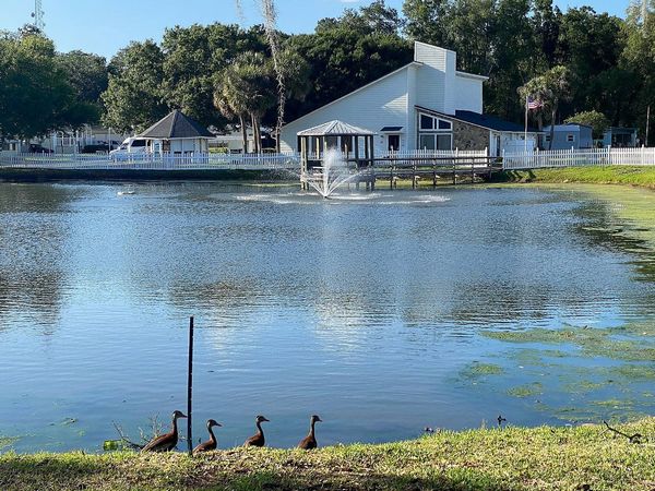 831 Carol Street , Lot 36, Wildwood FL 34785