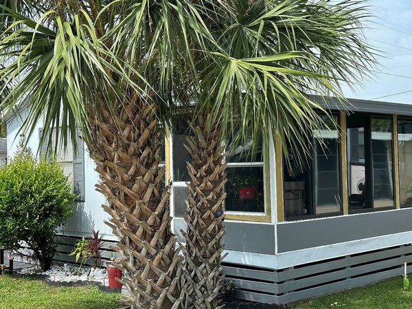 831 Carol Street , Lot 36, Wildwood FL 34785