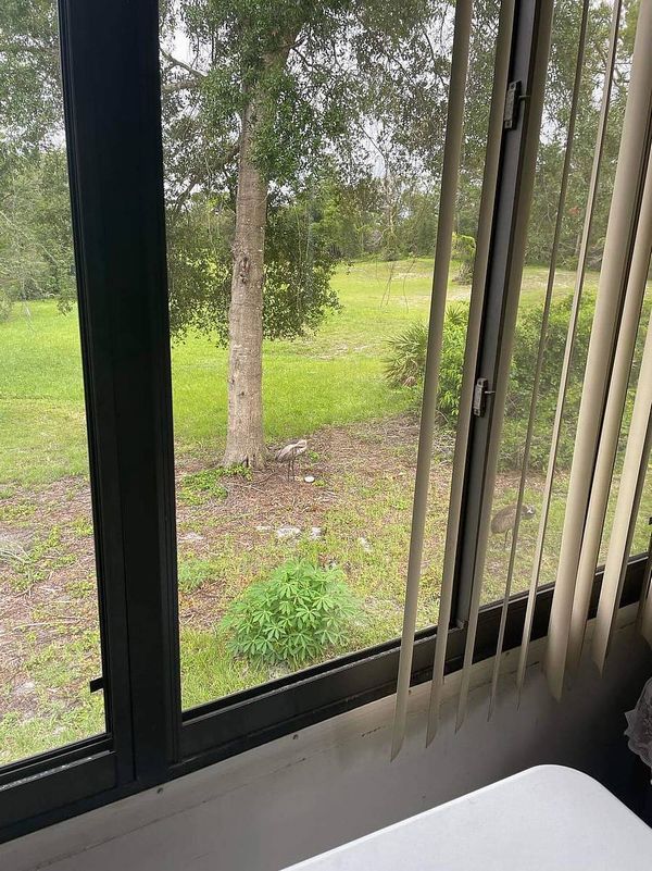 2410 Sandlewood Ln., Lot 2410, Orange City FL 32763