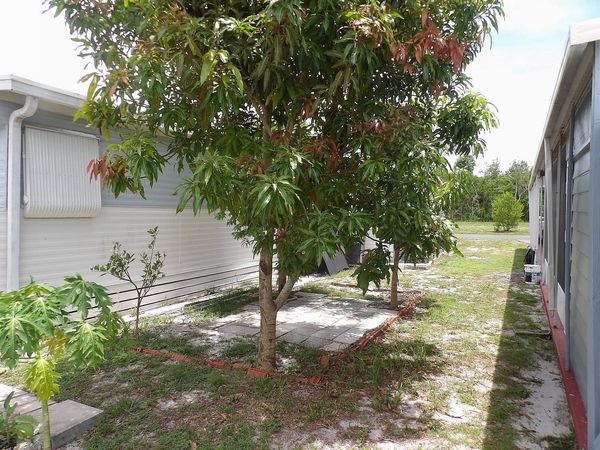 2313 Skyview, Sebring FL 33870