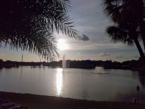 535 Spruce Dr, Lady Lake FL 32159