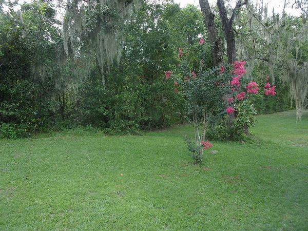 258 Holly Dr., DeLand FL 32724