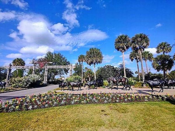 57 Big Oak Lane , Wildwood FL 34785