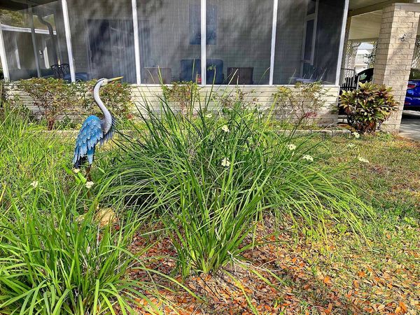 5103 Martingale Lane, Apopka FL 32712