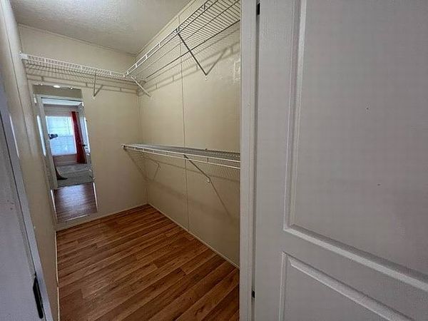 36034 Palm Breeze Lane, Grand Island FL 32735