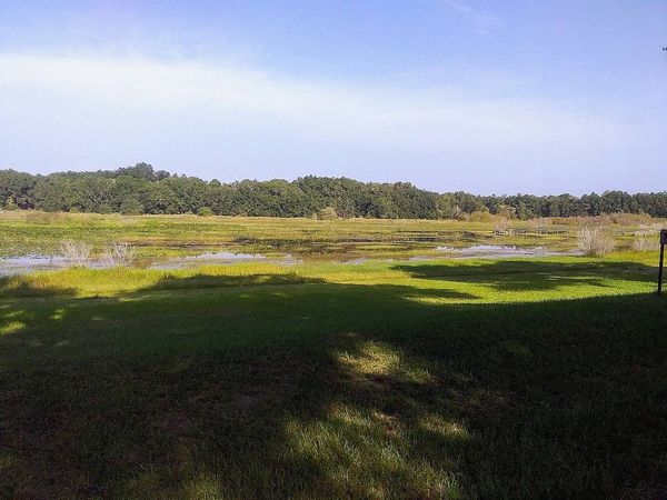 5341 S Stoneridge Dr , Inverness FL 34450