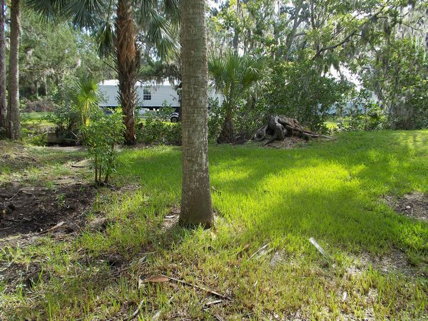 51 Windward Ct, Port Orange FL 32127