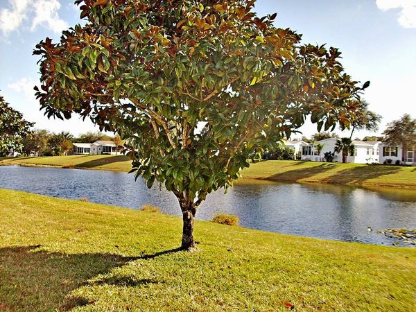 117 Three Bears Trail, Ormond Beach FL 32174
