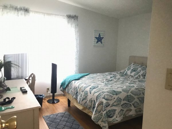 1229 Marbella Ln, Port Orange FL 32129