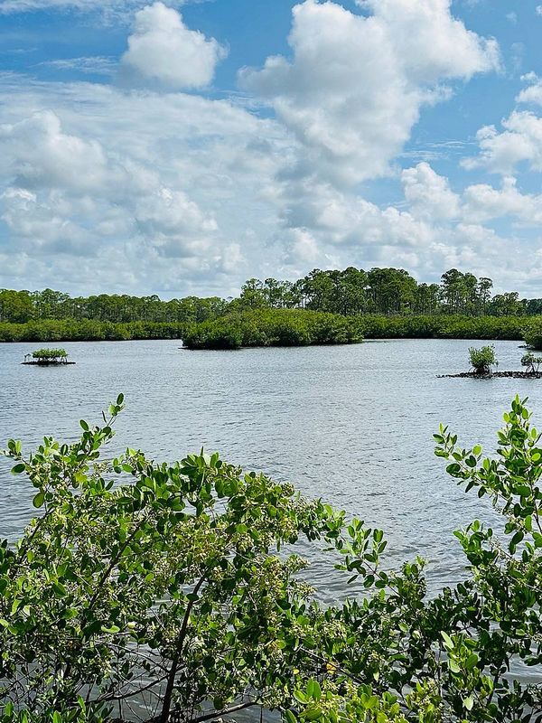 5200 S Nova Road, Lot 270, Port Orange FL 32127