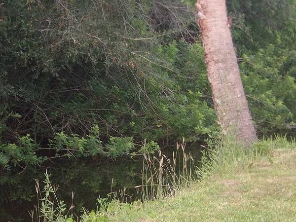 2051 Pioneer Trail, Lot 23, New Smyrna Beach FL 32168