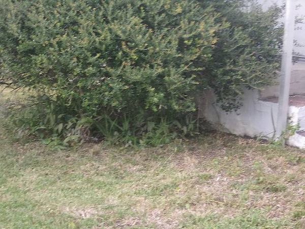 2051 Pioneer Trail, Lot 23, New Smyrna Beach FL 32168