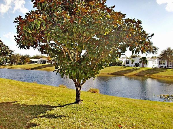 27 Polar Bear Path, Ormond Beach FL 32174