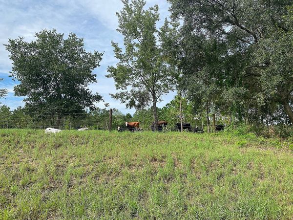 199 Landing Dr, Leesburg FL 34748