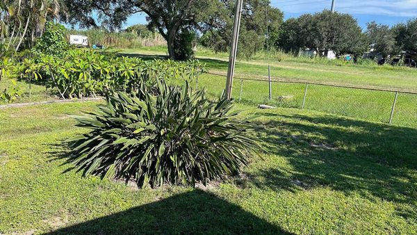 555 4th St, Lot 37, Vero Beach FL 32962