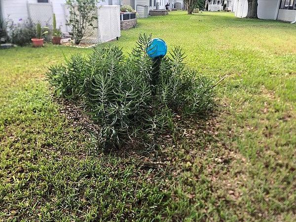 439 Los Indios, Lot 450, Edgewater FL 32141