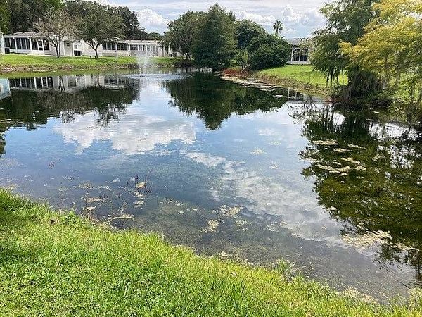 405 Palm Ave, Wildwood FL 34785