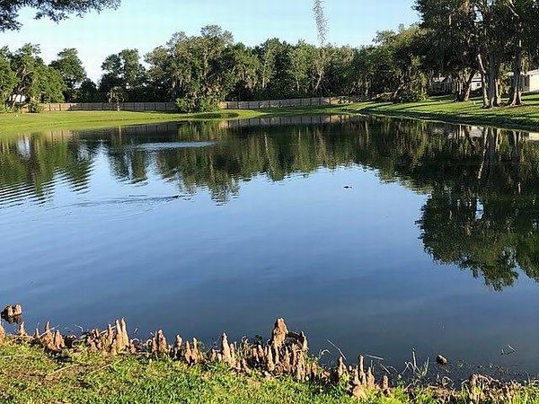 449 Rio Grande, Lot 173, Edgewater FL 32141