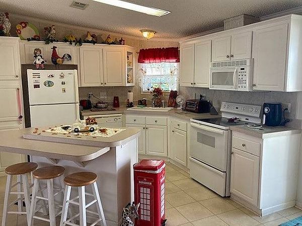 1120 Cypress Dr, Wildwood FL 34785