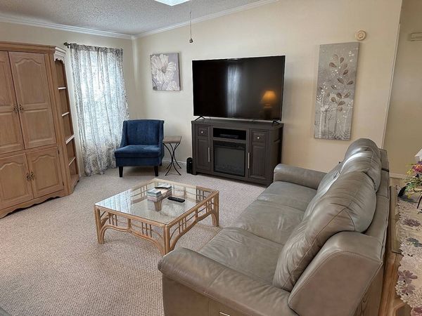 99 Misty Falls Drive, Ormond Beach FL 32174