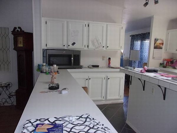 1335 Fleming Ave, Lot 229, Ormond Beach FL 32174