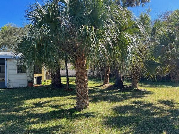 14 Niagara Cir, Ormond Beach FL 32174