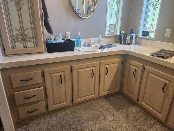 905 Poncan Dr, Lot 193, Orange City FL 32763