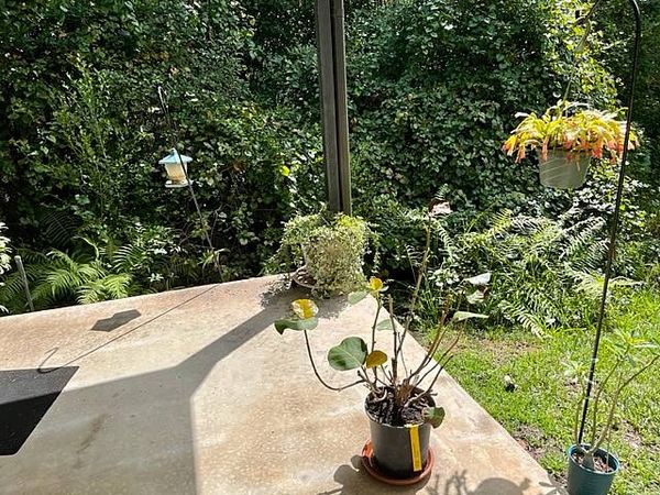 1 Kodiak Path, Ormond Beach FL 32174