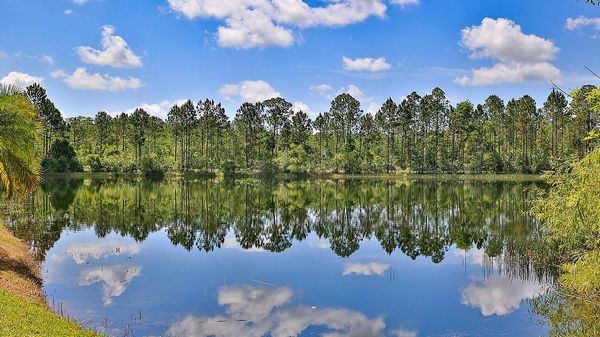 37 Pineview Lake Circle, Ormond Beach FL 32174